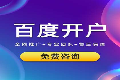 百度竞价代理的客户案例：如何实现ROI最大化